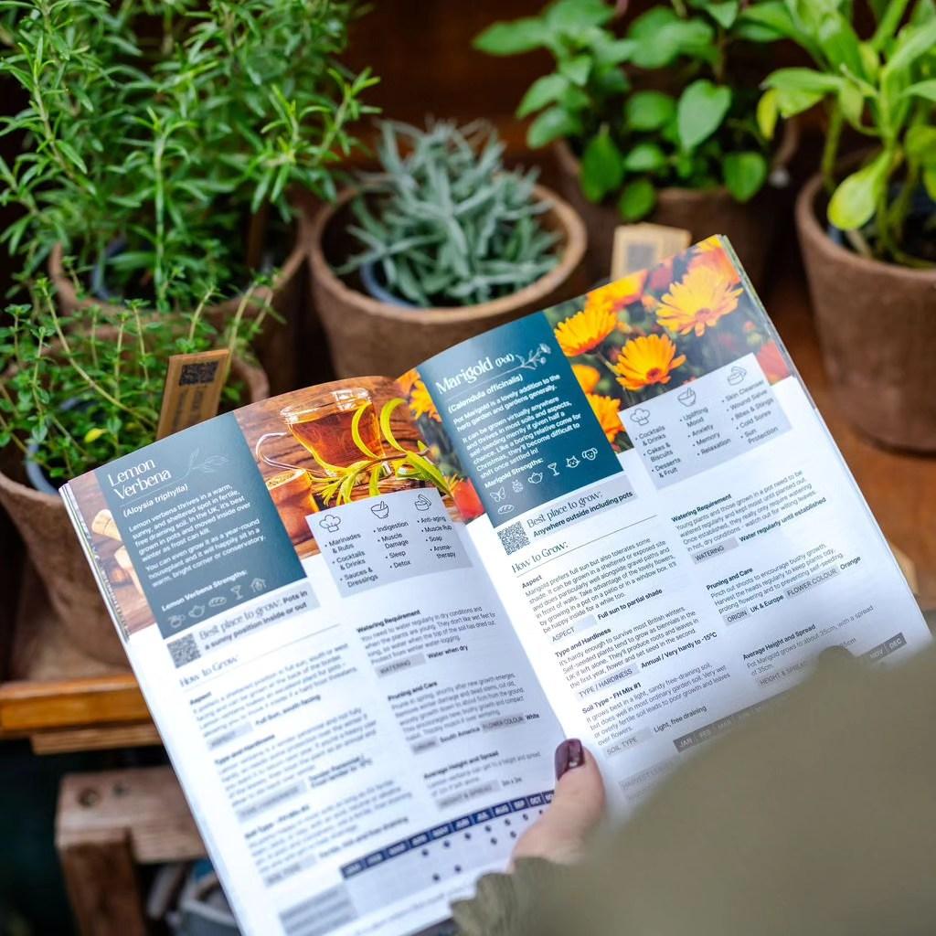 uploads/images/Herbs Book