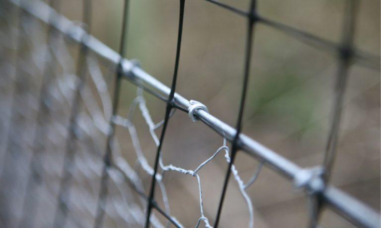 uploads/images/Hog Ring 2016 Web Thumb 768x461