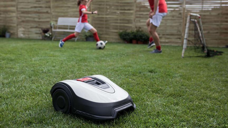 uploads/images/Honda Footy