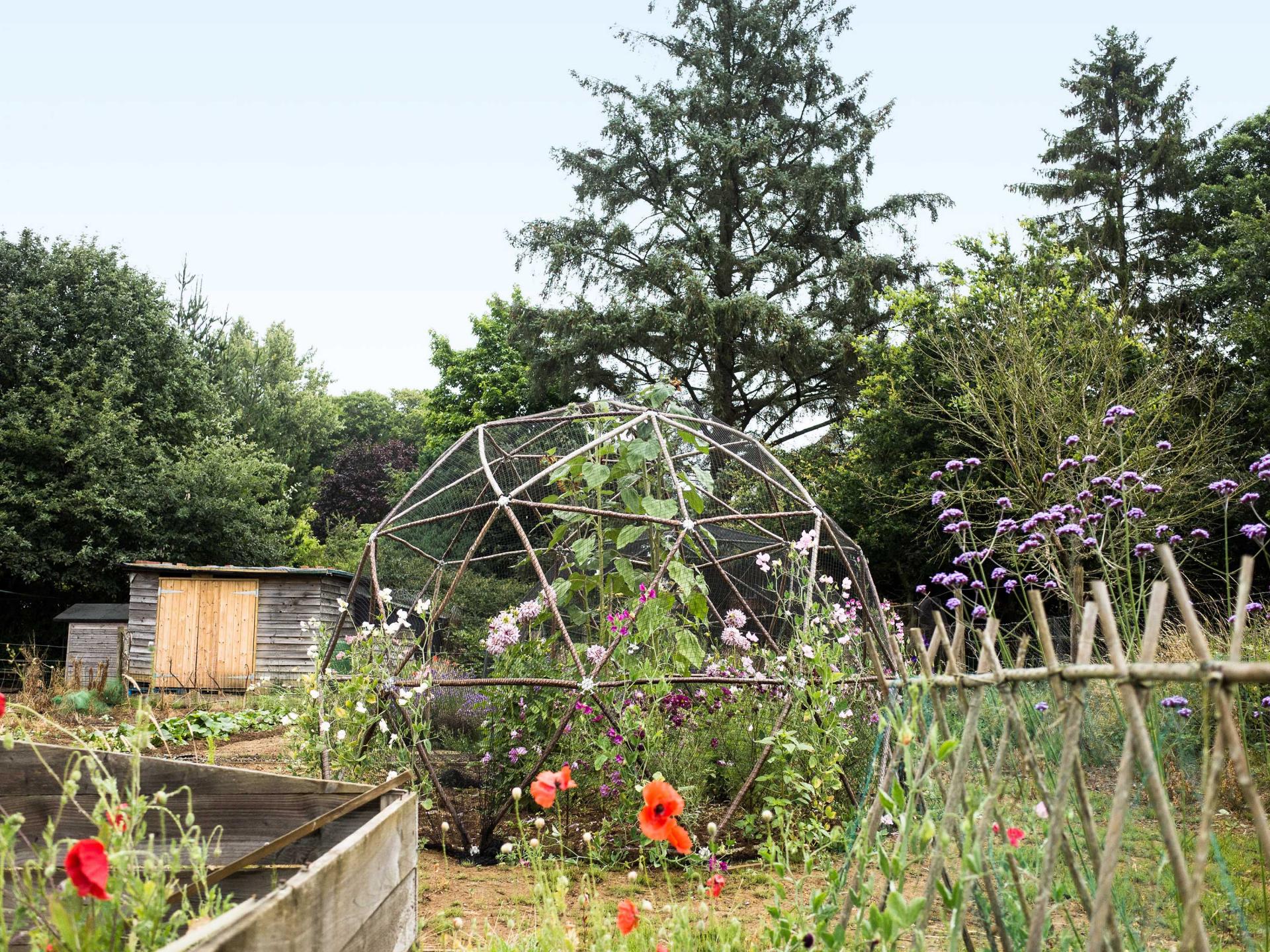 uploads/images/Hubs Fruitpod 009938_lr