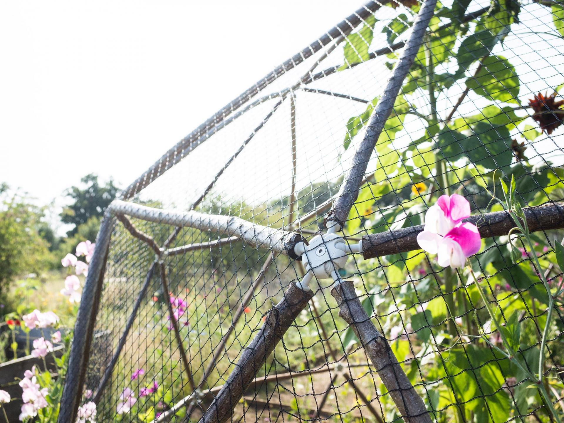 uploads/images/Hubs Fruitpod 010062_lr