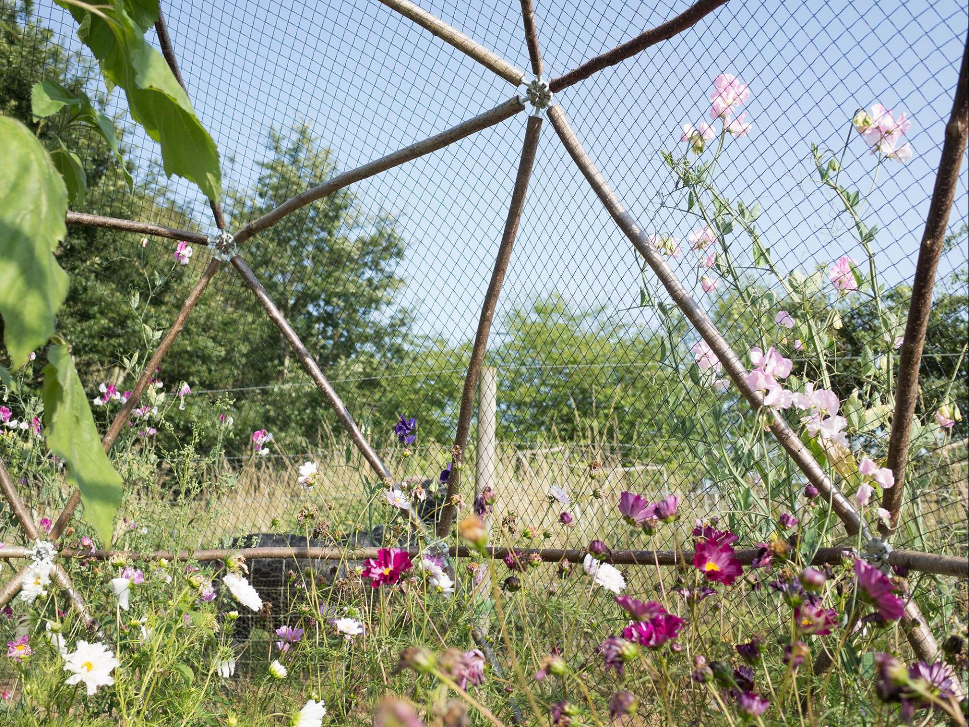 uploads/images/Hubs Fruitpod 010117_lr