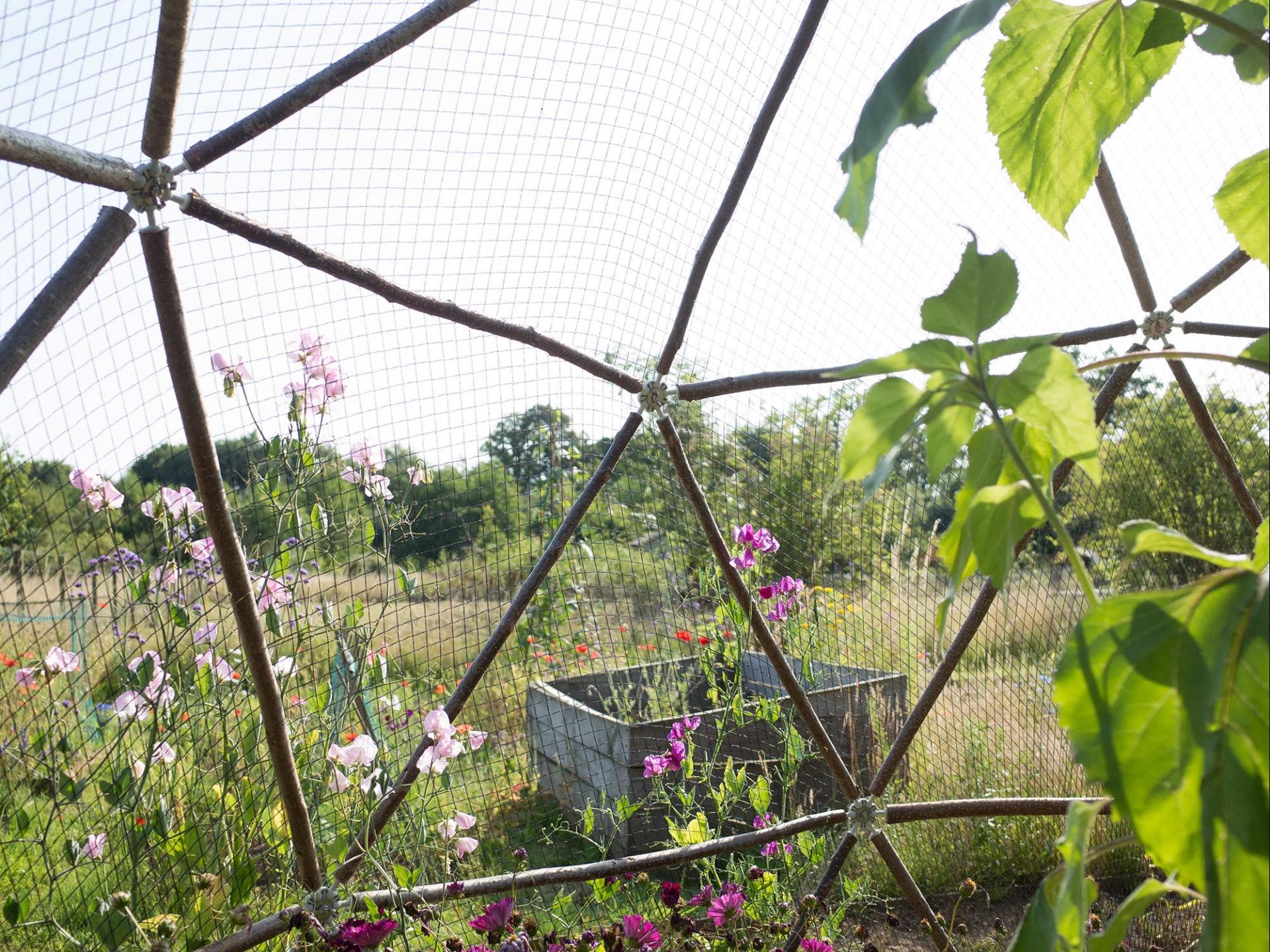 uploads/images/Hubs Fruitpod 010126_lr