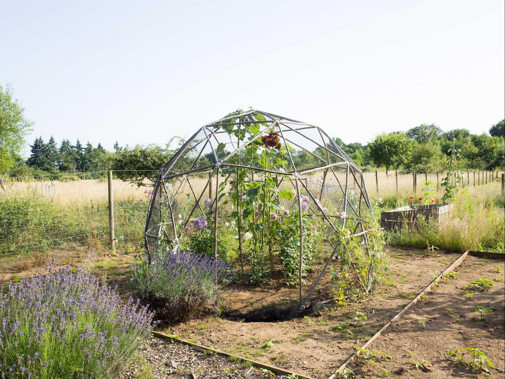 uploads/images/Hubs Fruitpod 010154_lr