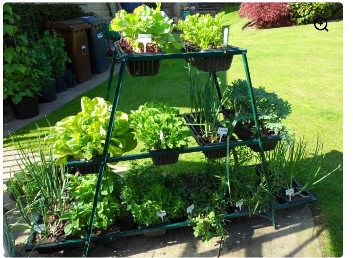 uploads/images/Image 1fffcbad2611ffb30a337a2f245cba26