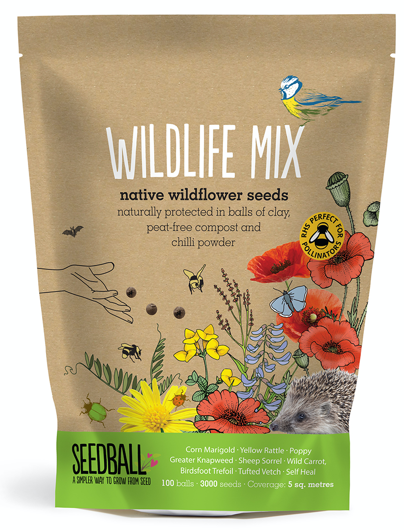 uploads/images/Image Sb2