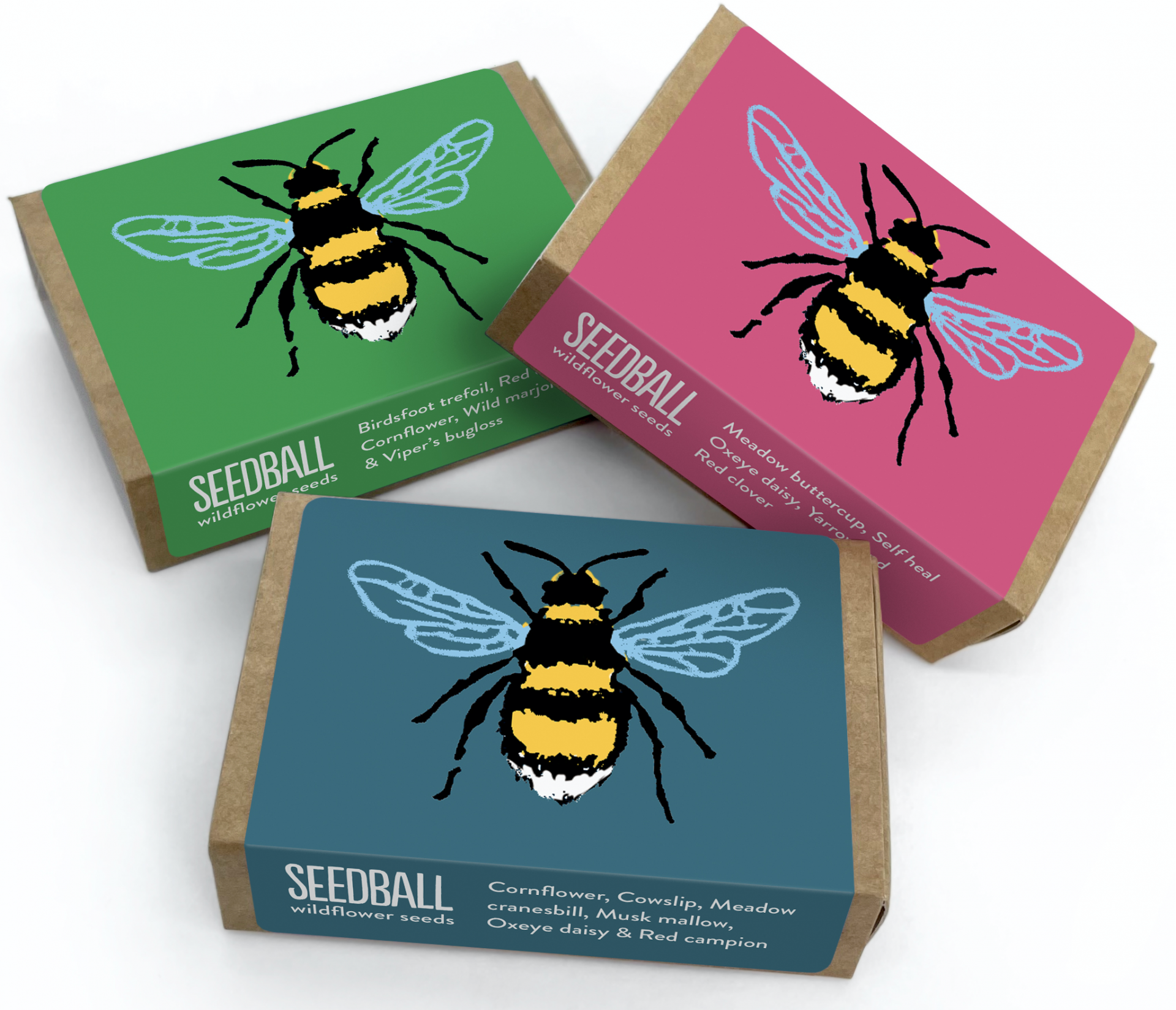 uploads/images/Image