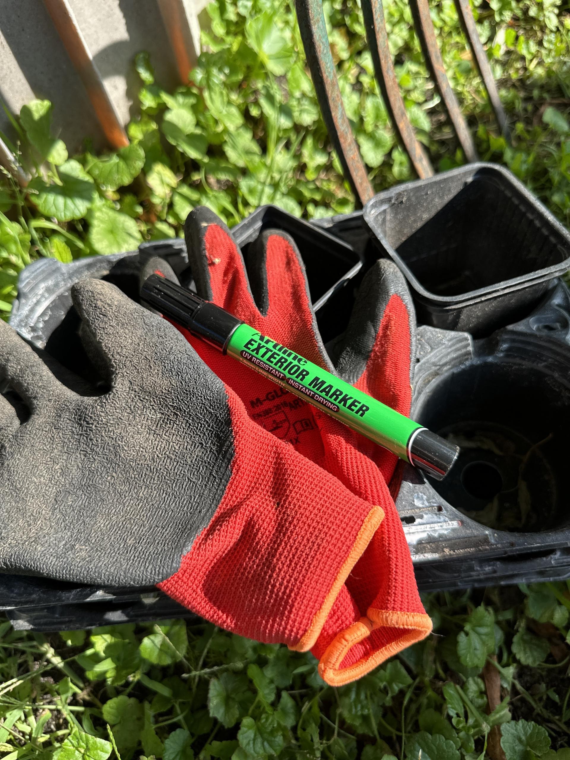 uploads/images/Image00033