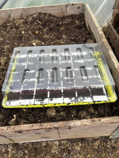 uploads/images/Image1