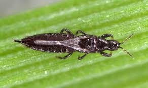 uploads/images/Images 2