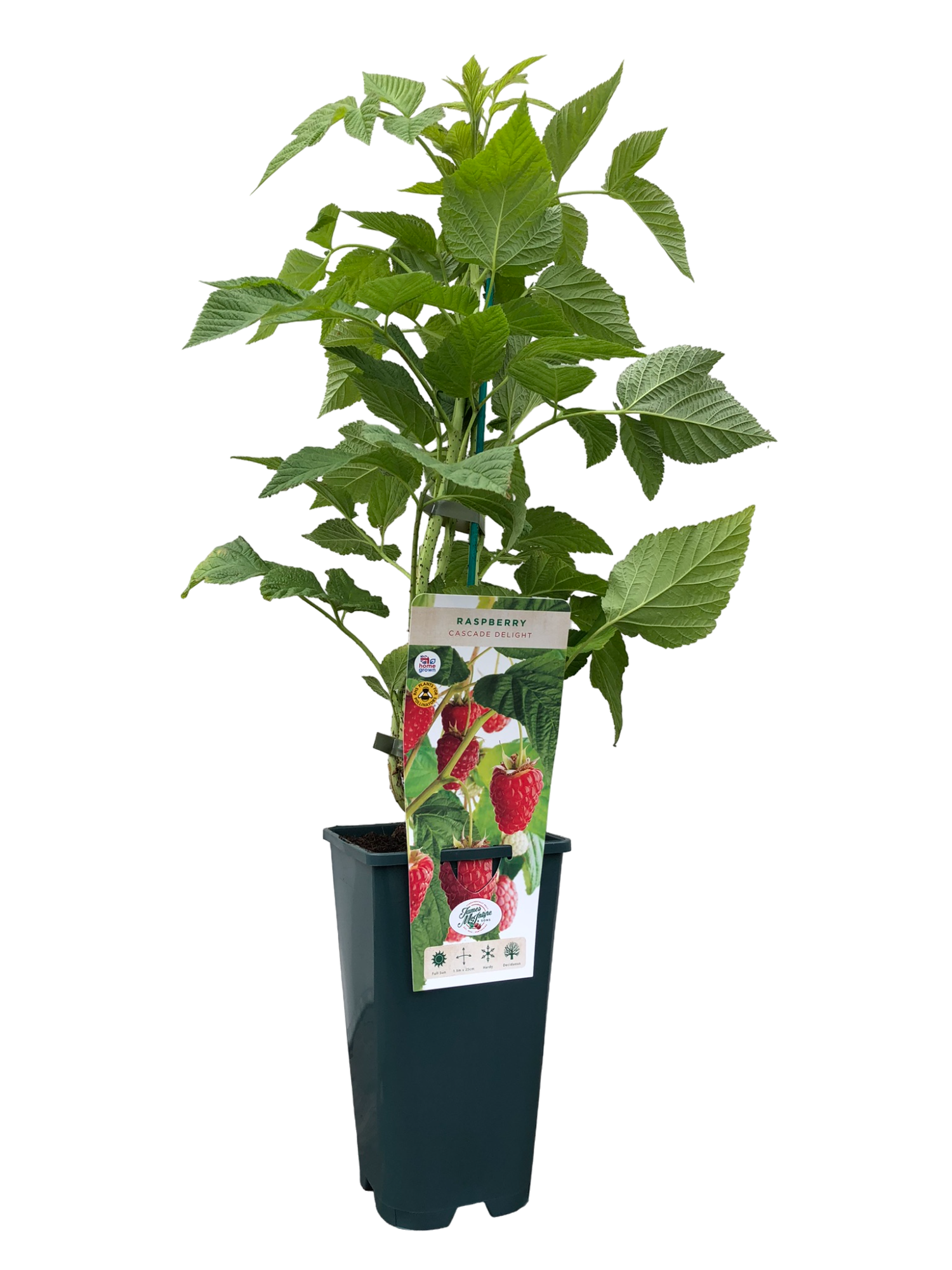 uploads/images/Img_0004 Photoroom