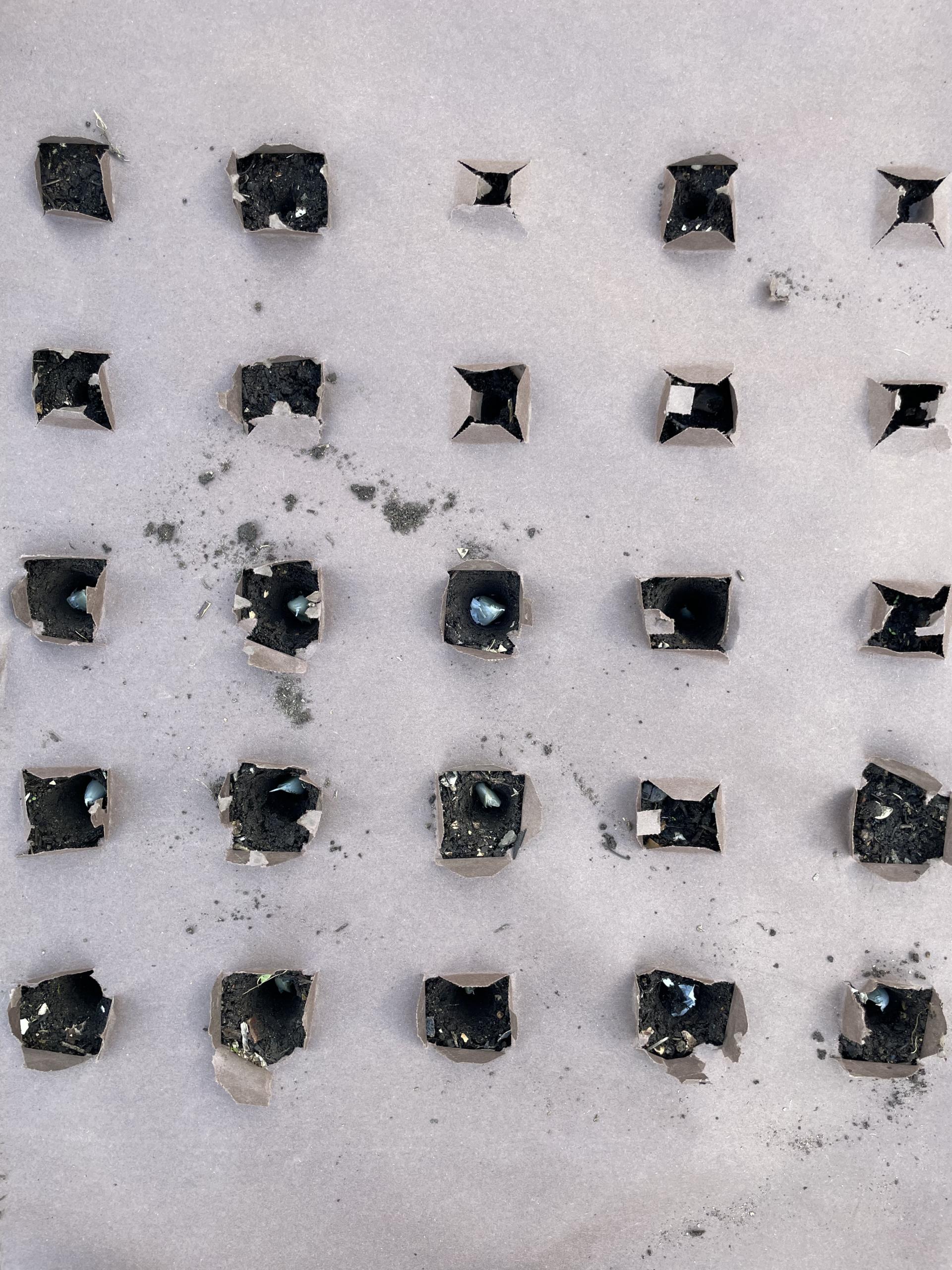 uploads/images/Img_0139