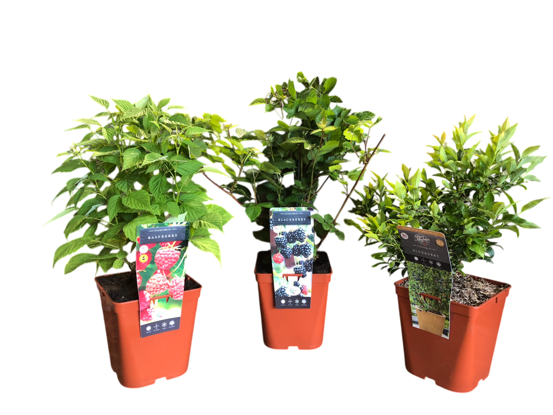 uploads/images/Img_0371 Photoroom