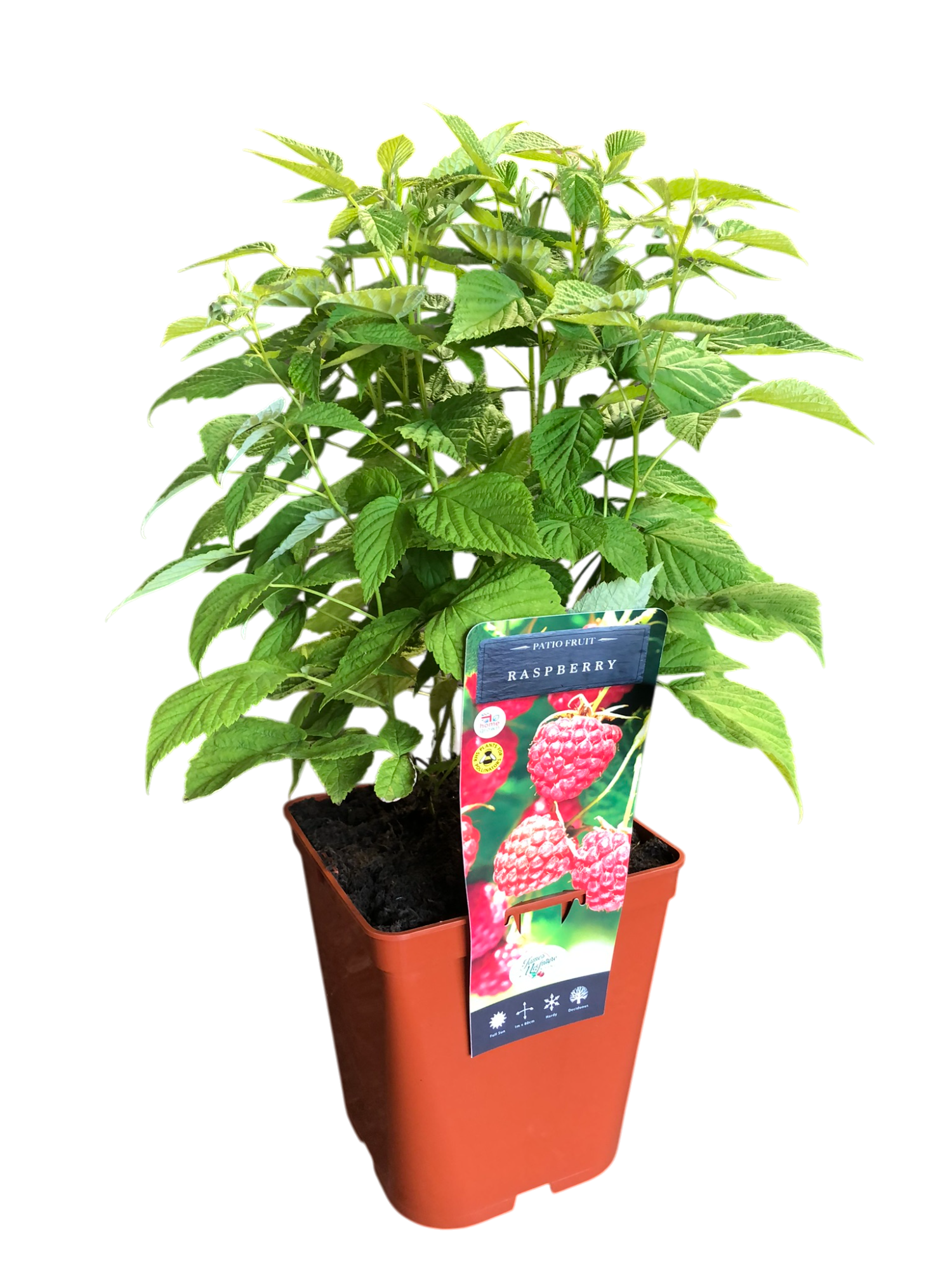 uploads/images/Img_0373 Photoroom