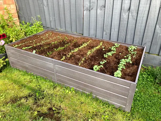 uploads/images/Img_0556