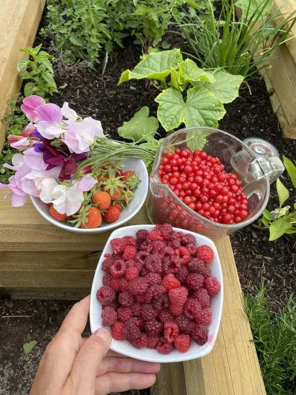 uploads/images/Img_1968