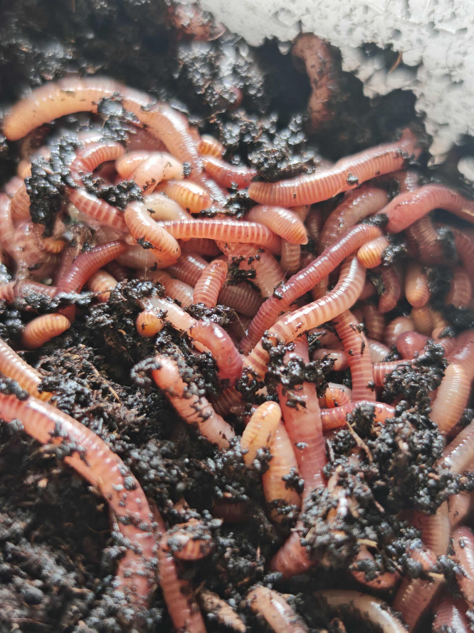 uploads/images/Img_20250613_125407