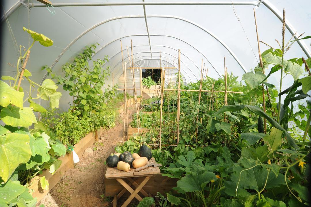 uploads/images/Img_25064490