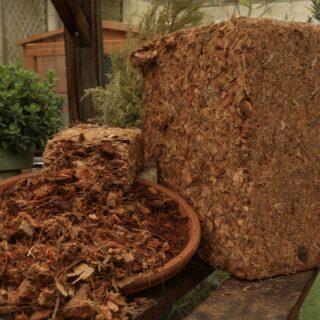 uploads/images/Img_3061 320x320