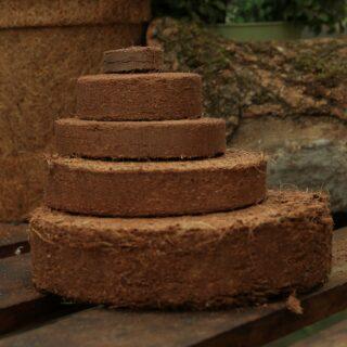 uploads/images/Img_3115 320x320