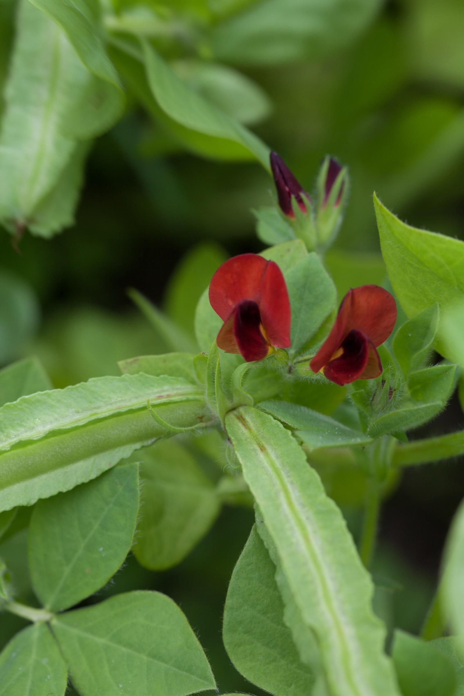 uploads/images/Img_3179_7746