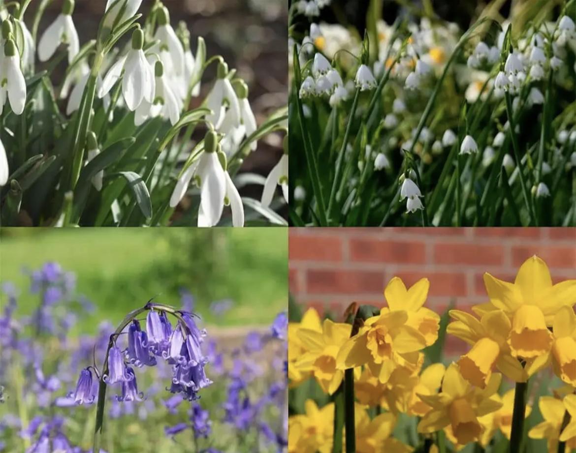 uploads/images/Img_3762