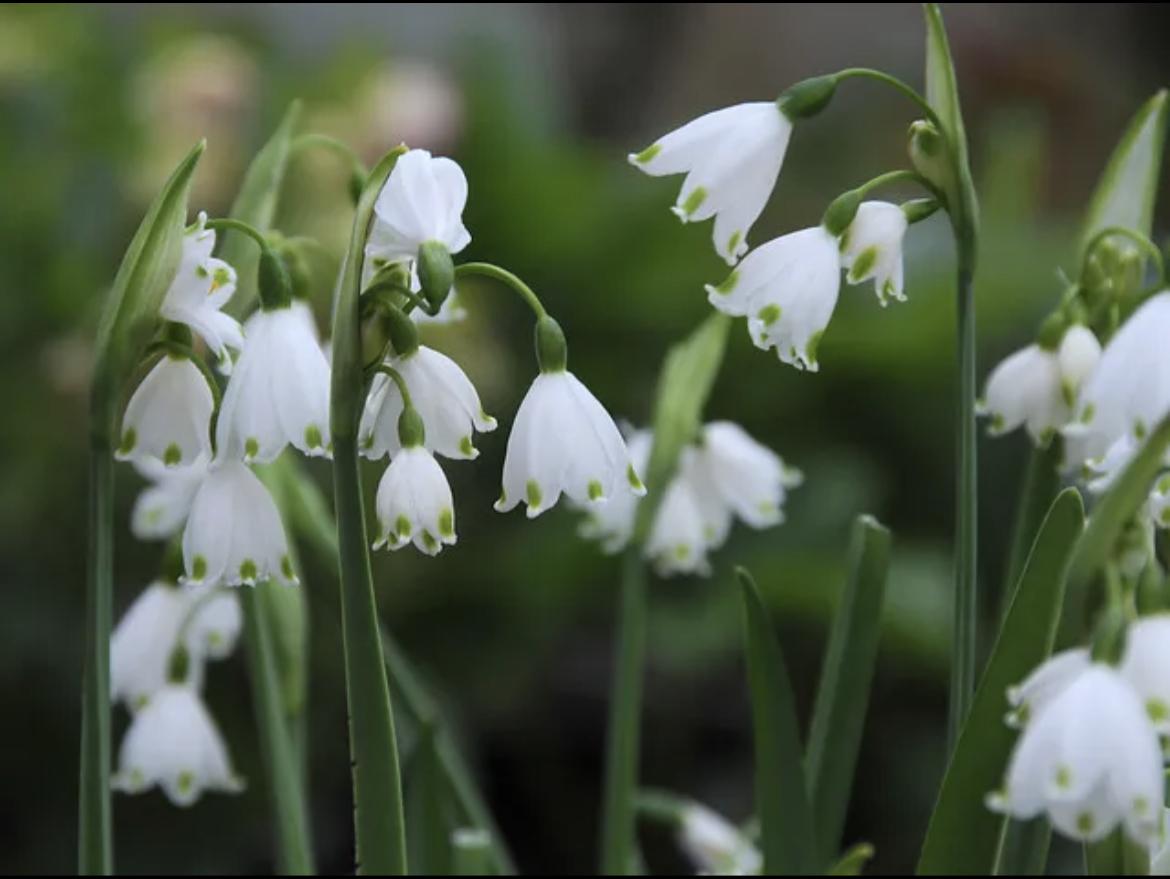 uploads/images/Img_3763