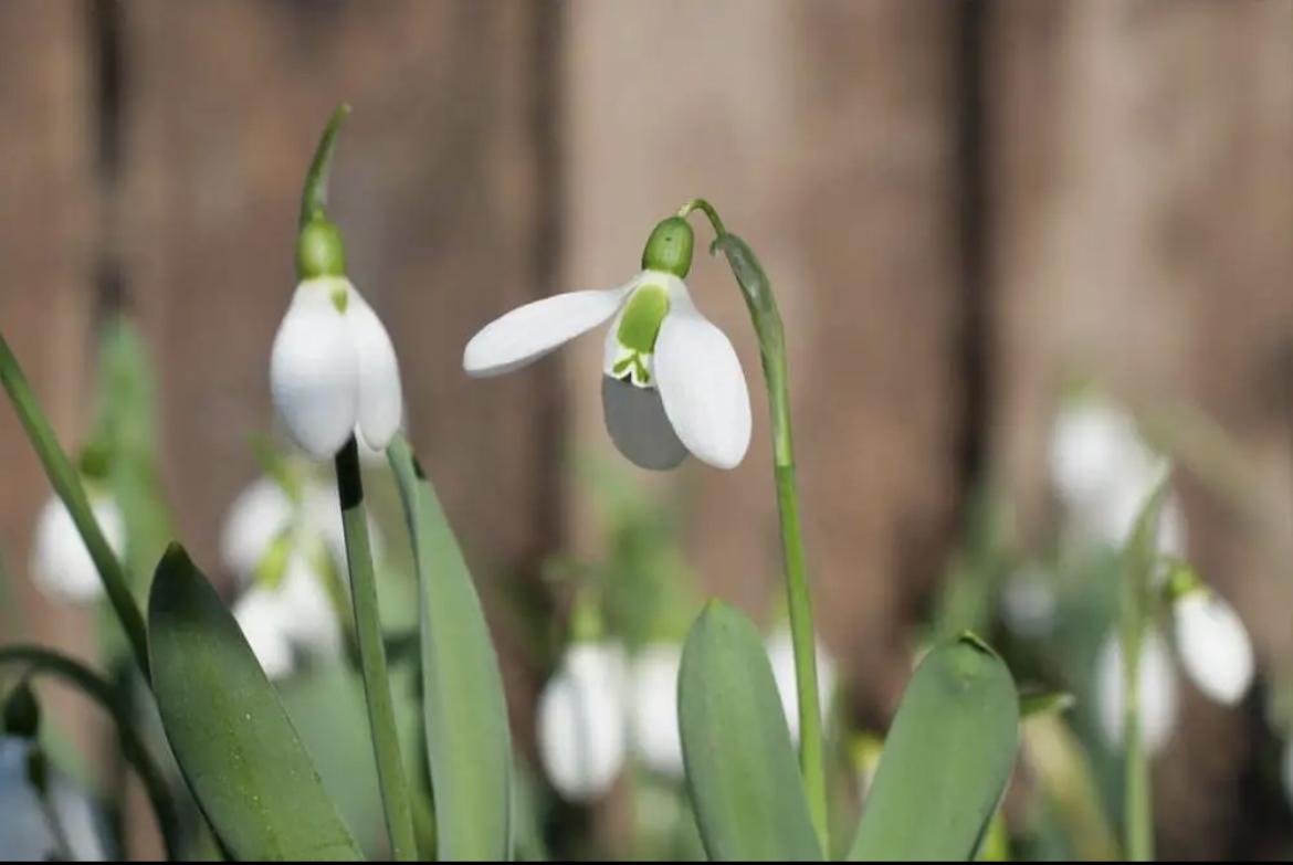 uploads/images/Img_3764