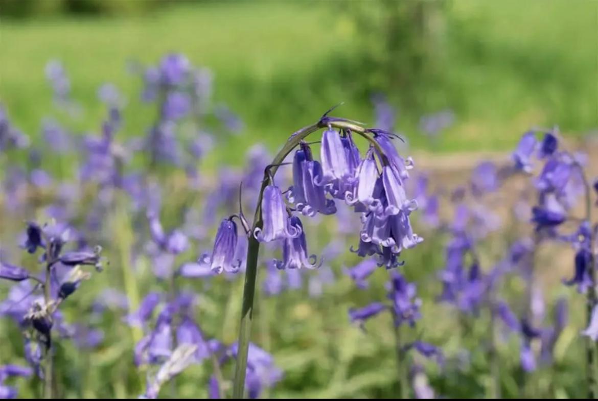 uploads/images/Img_3765