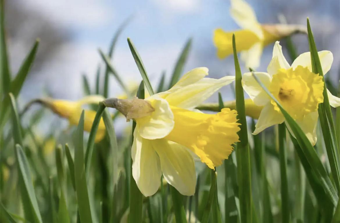 uploads/images/Img_3766