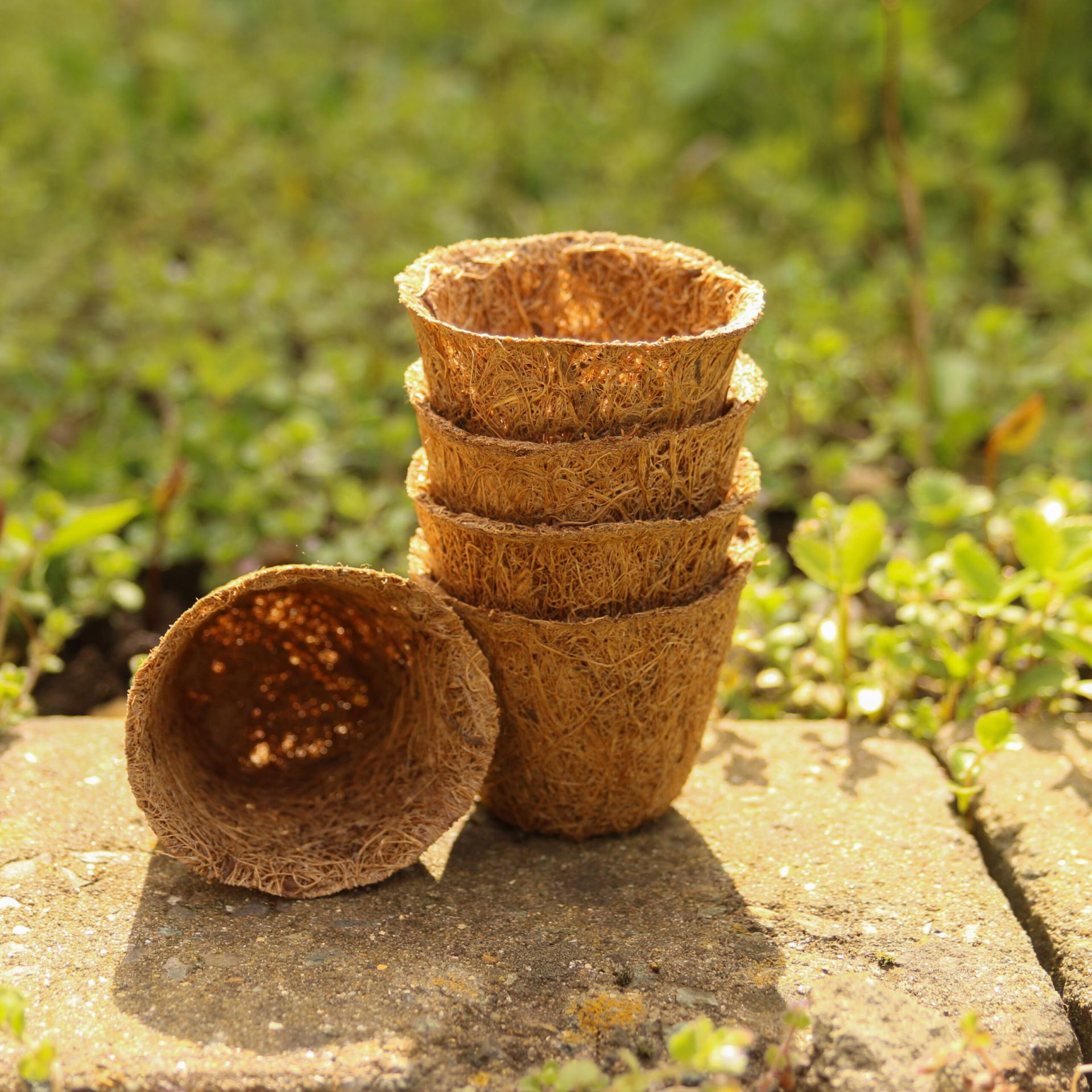 uploads/images/Img_4413 Scaled