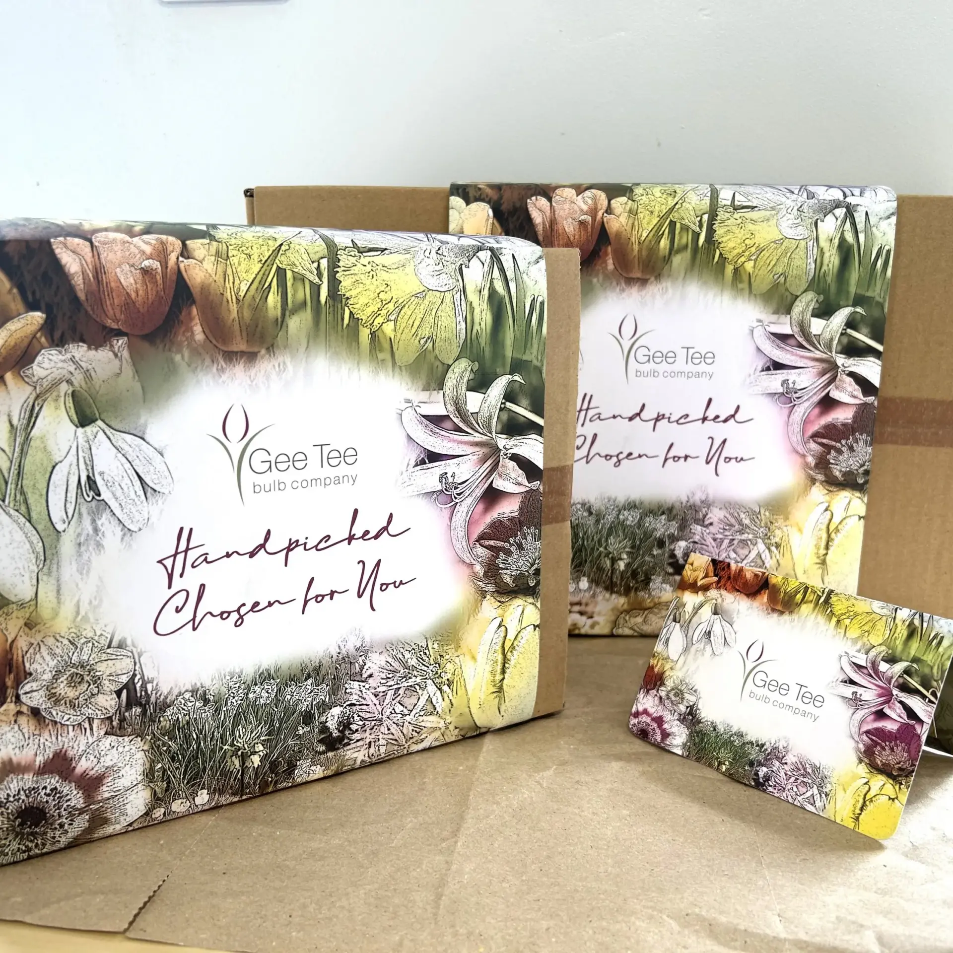 uploads/images/Img_7458 Scaled