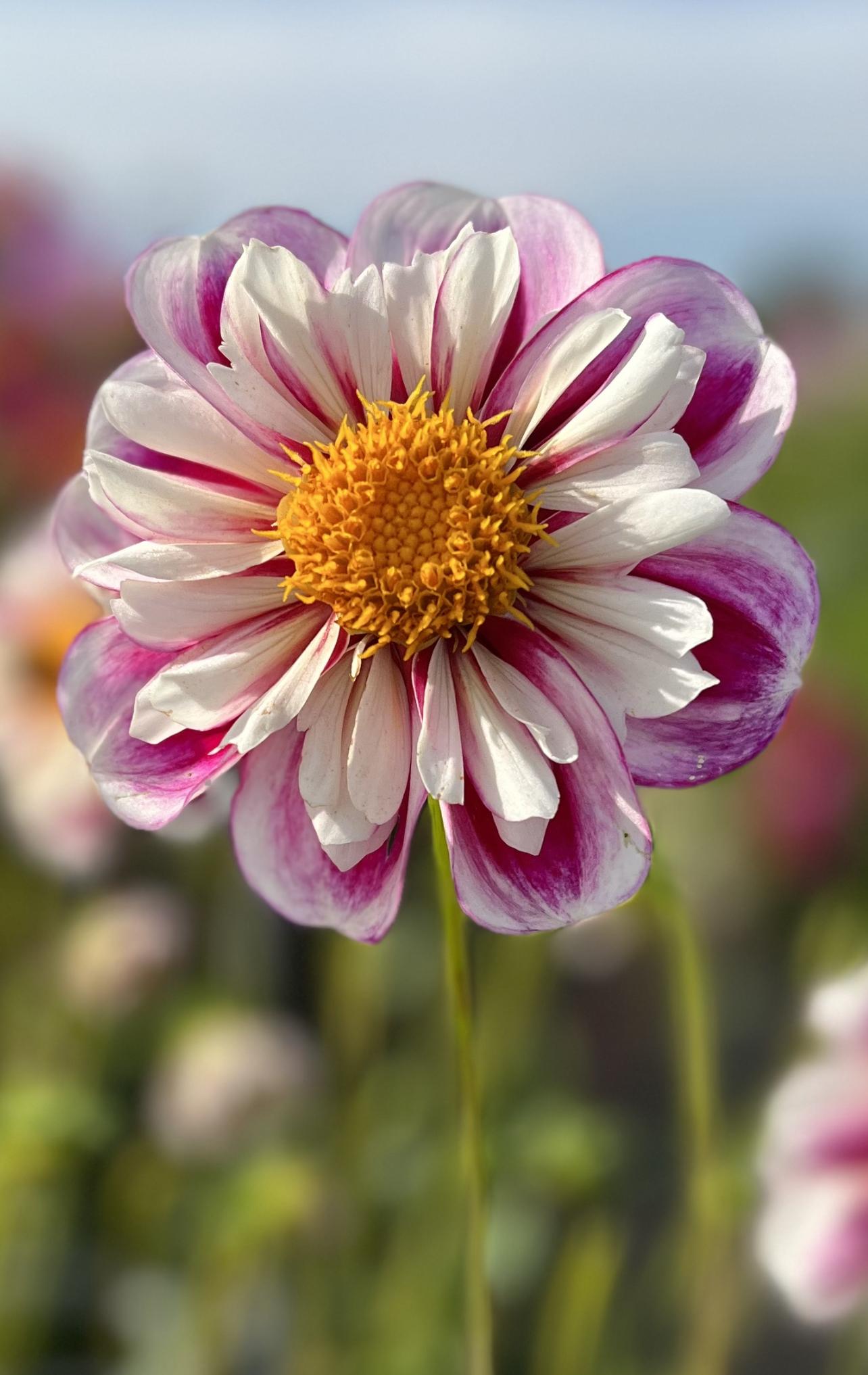 uploads/images/Img_9596