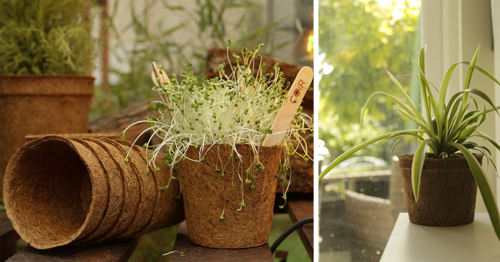 uploads/images/Indoor Gardening With Sustainable Coir Pots 1024x536