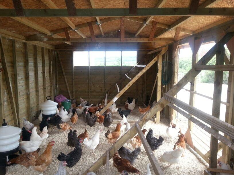 uploads/images/Inside Cc