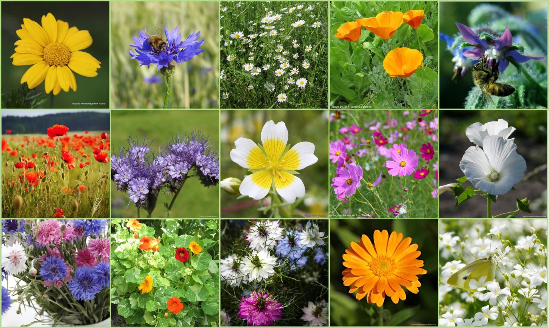 uploads/images/Jg Combi Mix