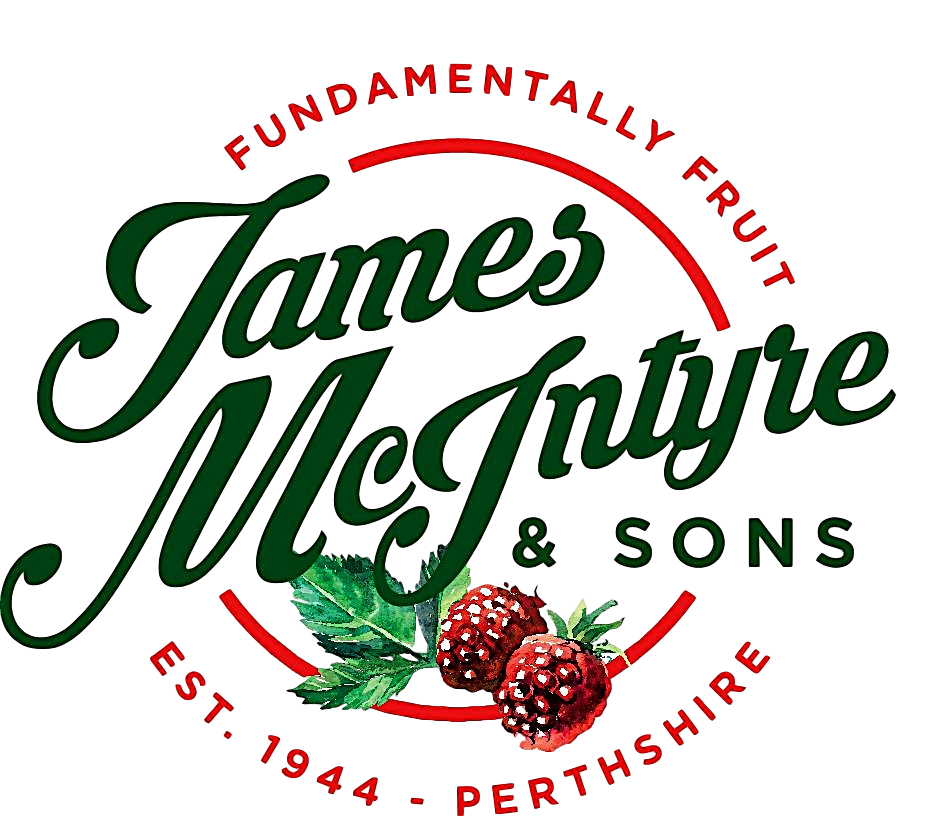 James McIntyre Logo