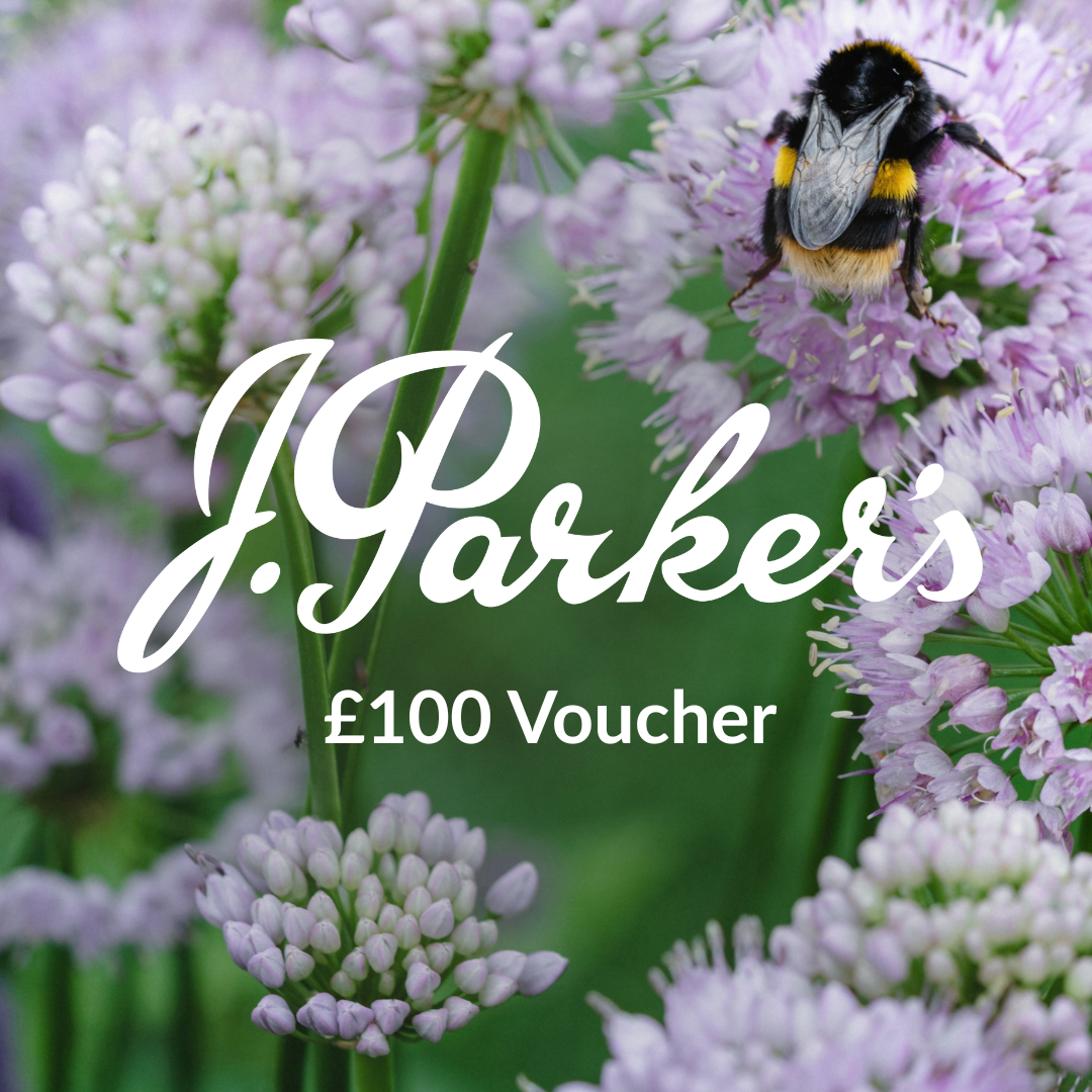 uploads/images/Jparkersvoucherpromo