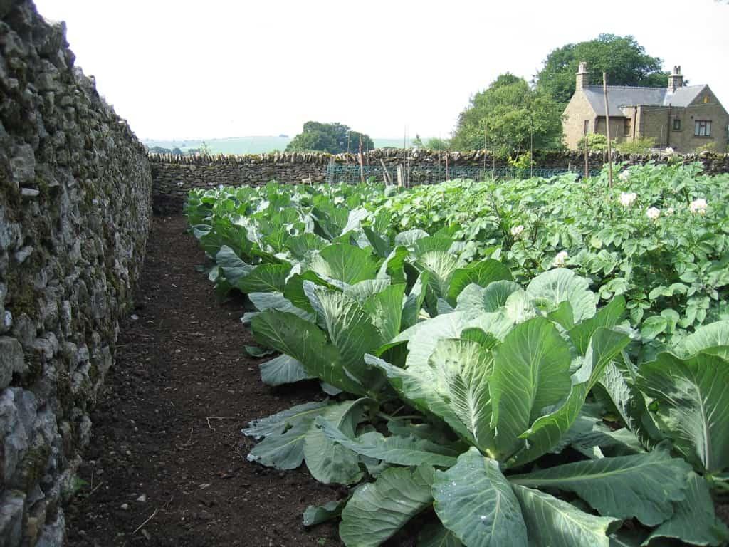 uploads/images/Jpr Farm Direct Derbyshire 13