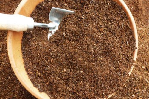 uploads/images/Jpr Farm Direct Peat Free Potting Compost 500x334