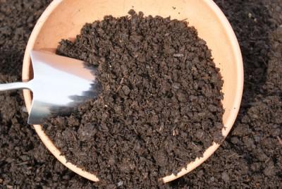 uploads/images/Jpr Gold Soil Conditioner 400x268