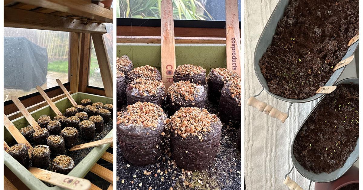 uploads/images/Keep Things Simple