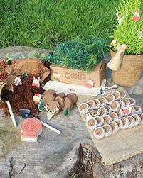 uploads/images/Kids Bundles