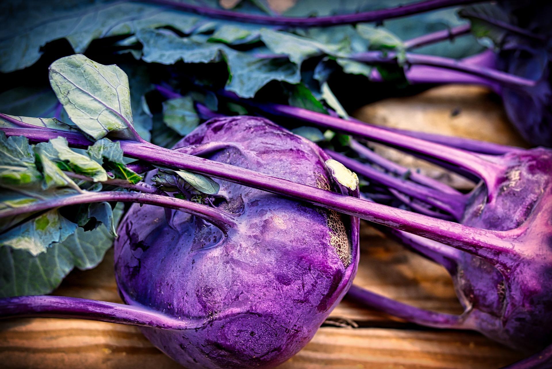 uploads/images/Kohlrabi 3837895_1920