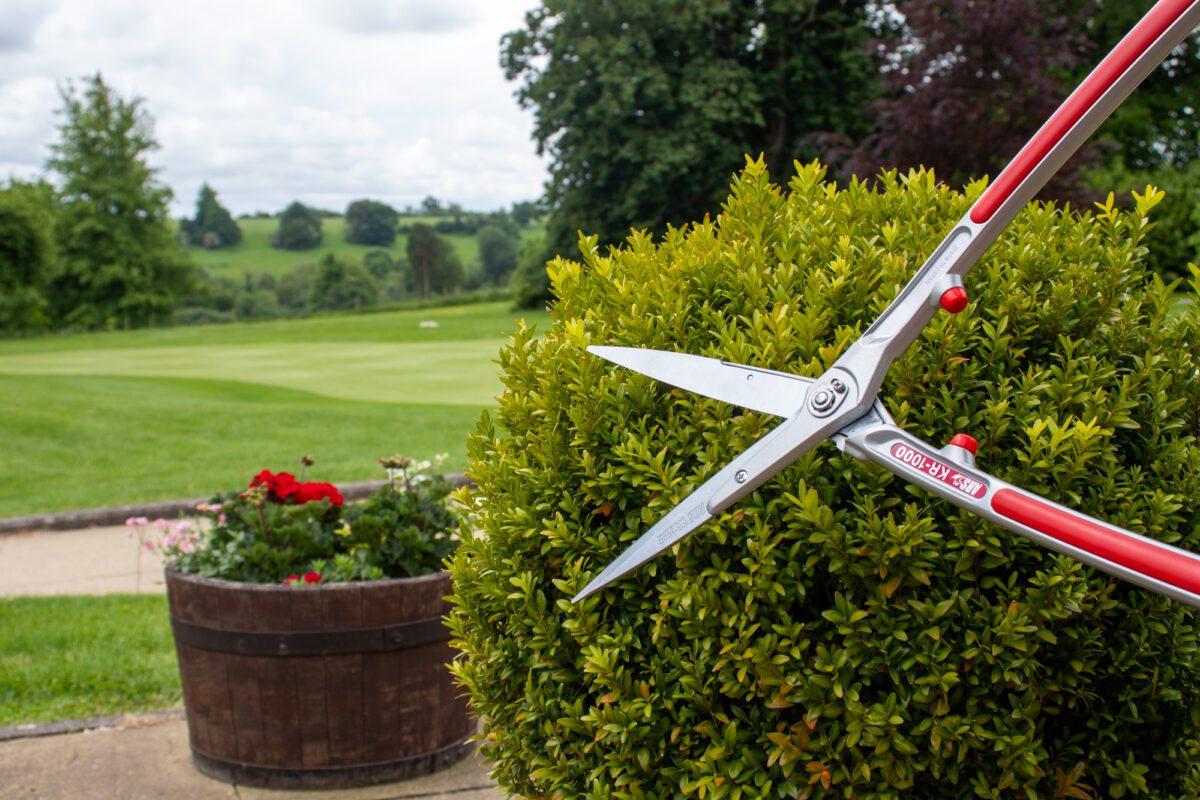 uploads/images/Kr 1000 Life 1 1200x800