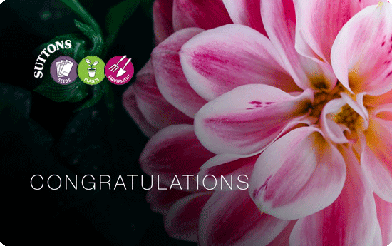 uploads/images/L Gc Congrats S