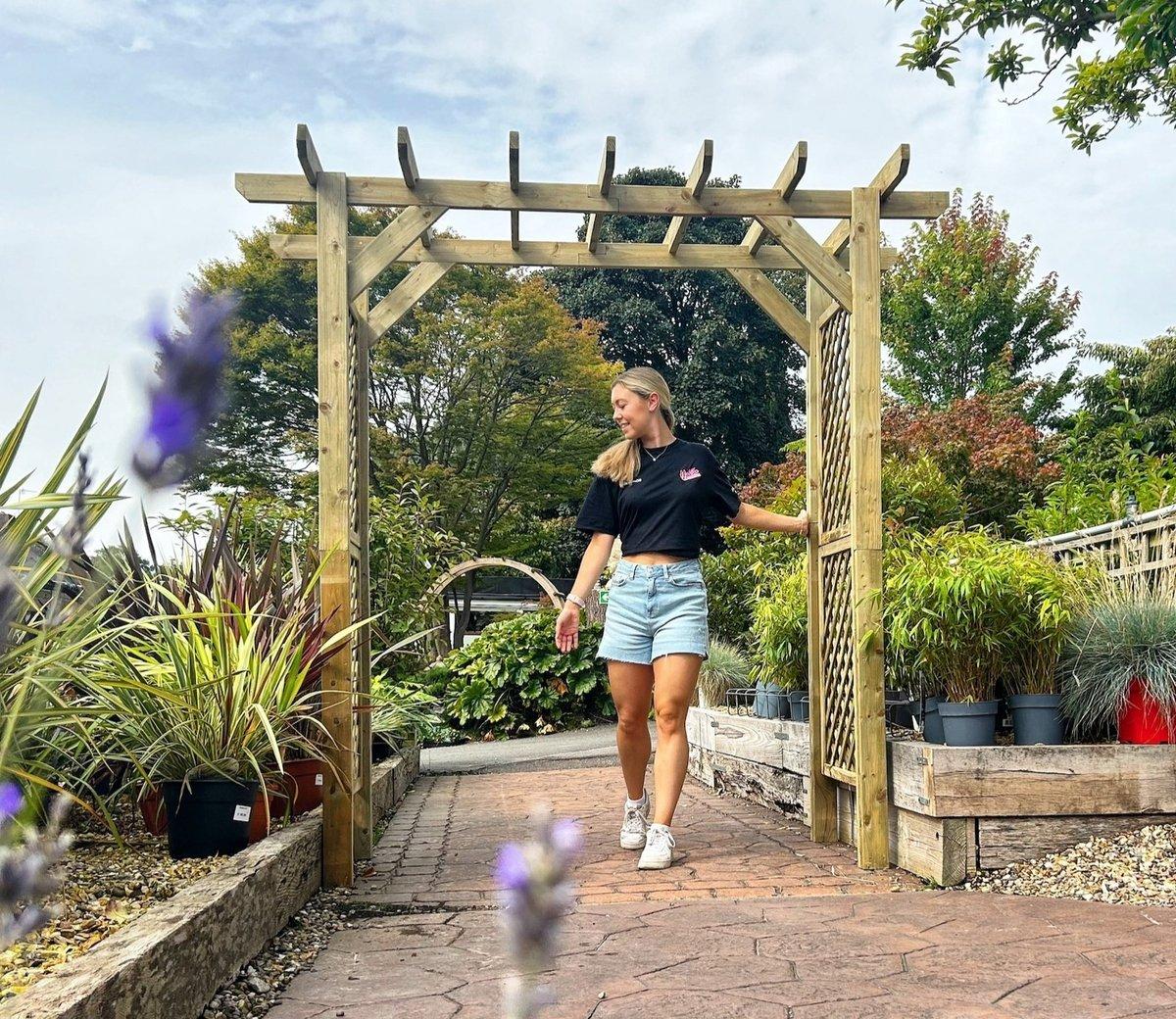 uploads/images/Large Ultimate Traditional Arch 97eba1aa8de0e4941b8955c65c50d252_original