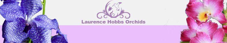 uploads/images/Laurence Hobbs Orchids Logo