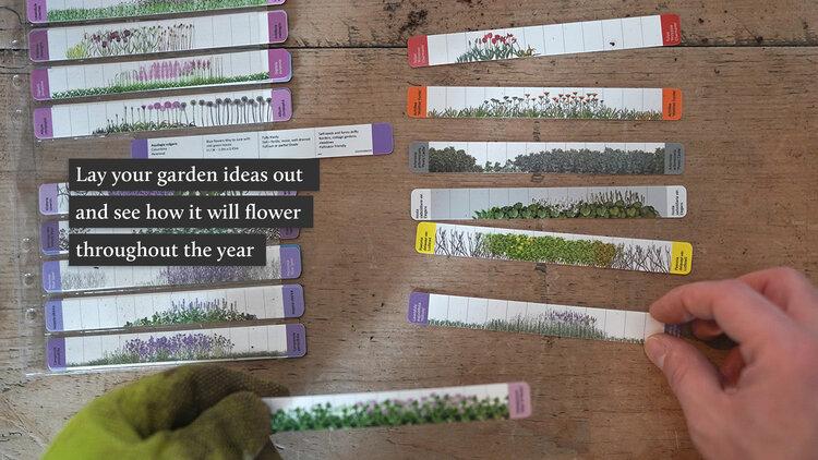 uploads/images/Layout