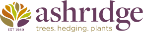 uploads/images/Ashridge Logo